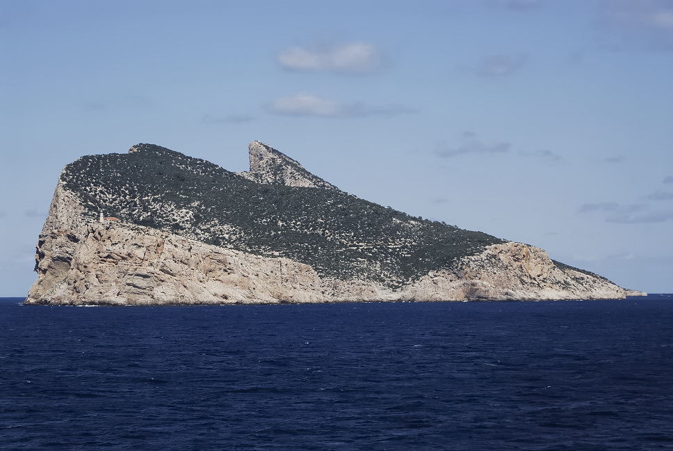 Foto de Palma de Mallorca (Illes Balears), España