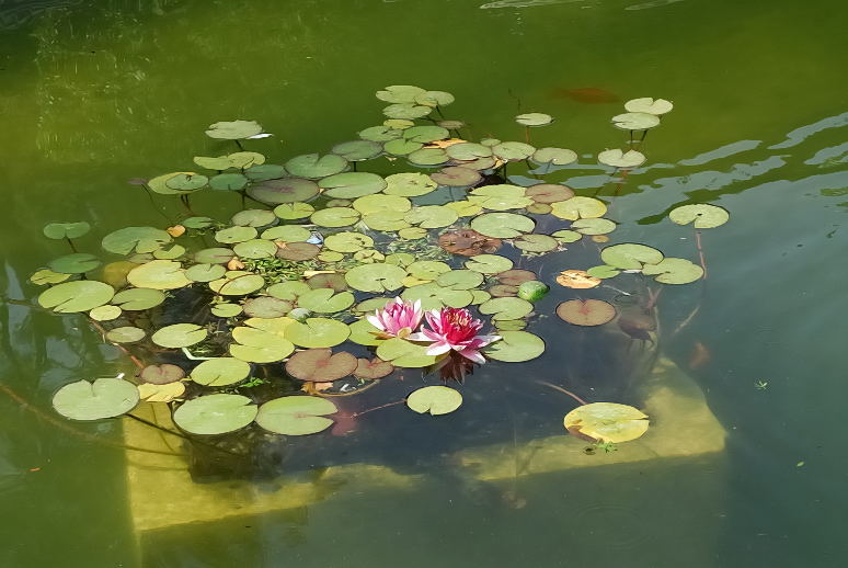 Foto de Sevilla (Andalucía), España