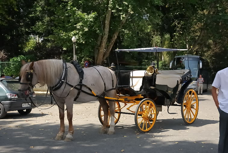Foto de Sevilla (Andalucía), España