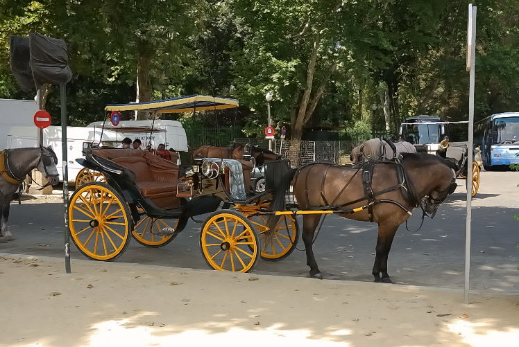 Foto de Sevilla (Andalucía), España