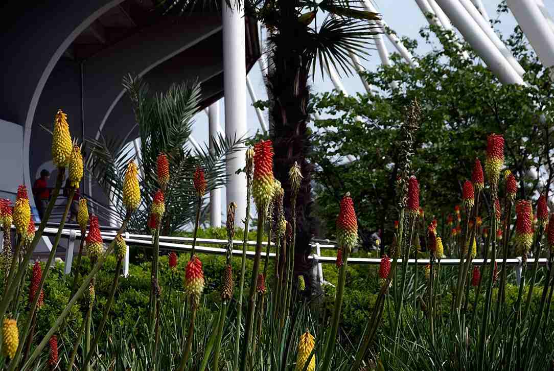 Foto de Valencia (València), España