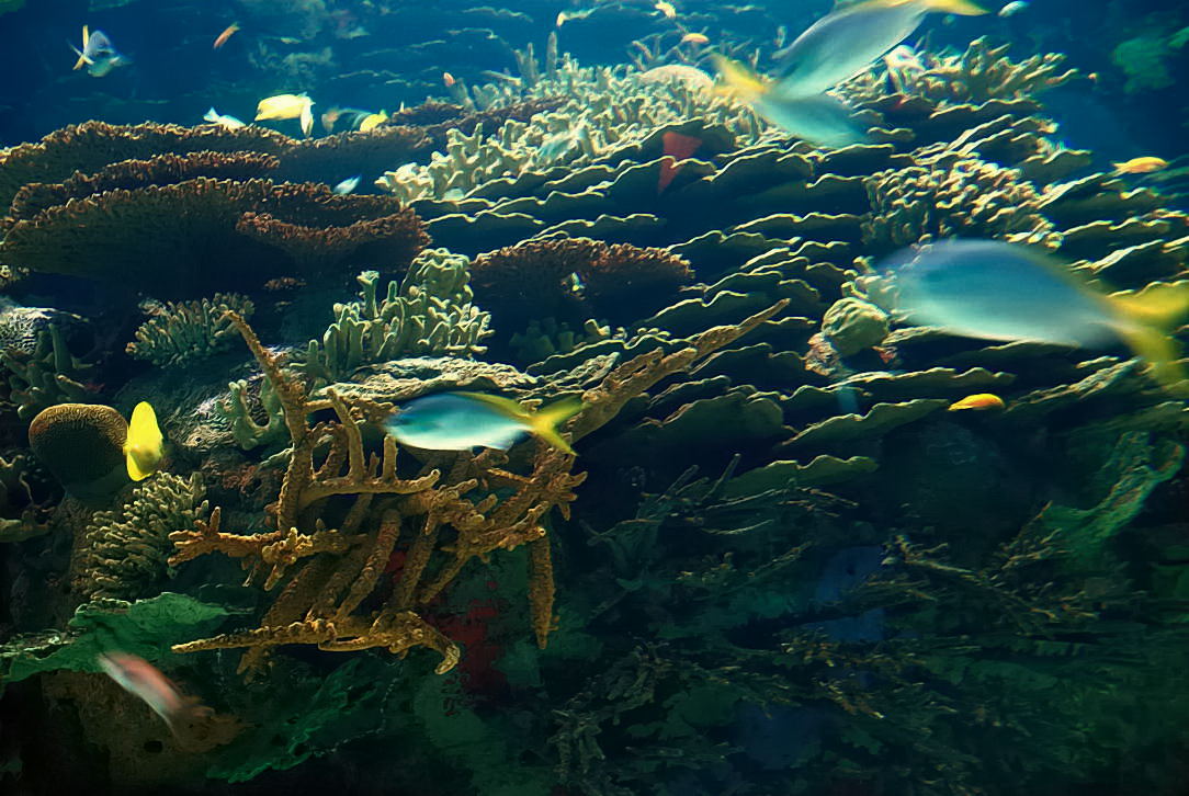 Foto de Valencia (València), España