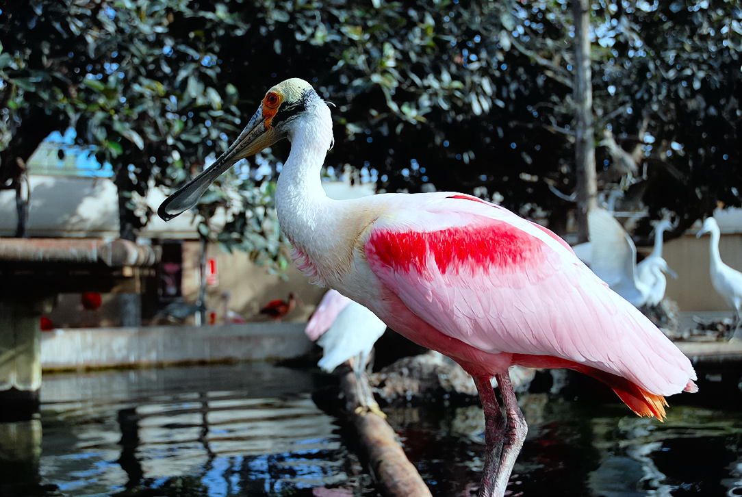 Foto de Valencia (València), España