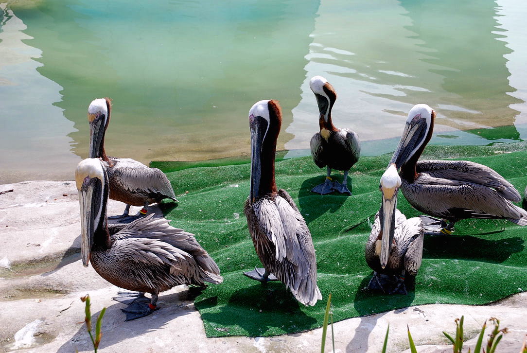 Foto de Valencia (València), España