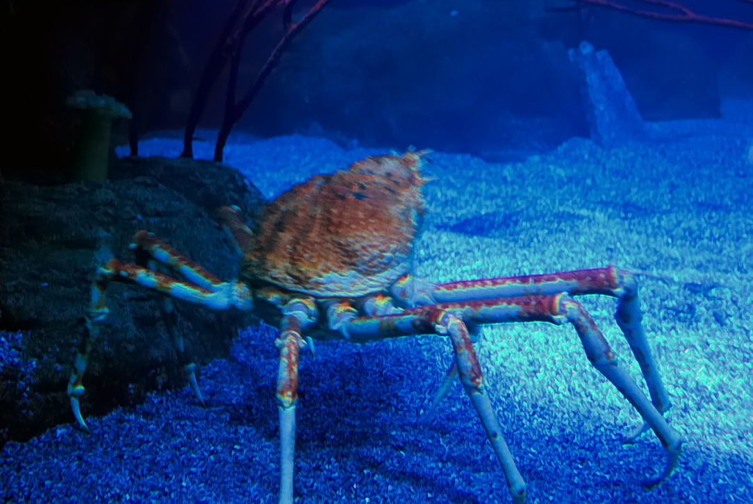 Foto de Valencia (València), España