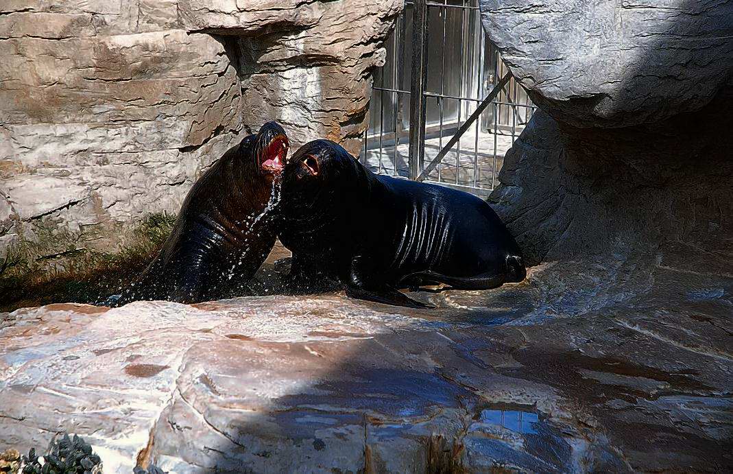 Foto de Valencia (València), España