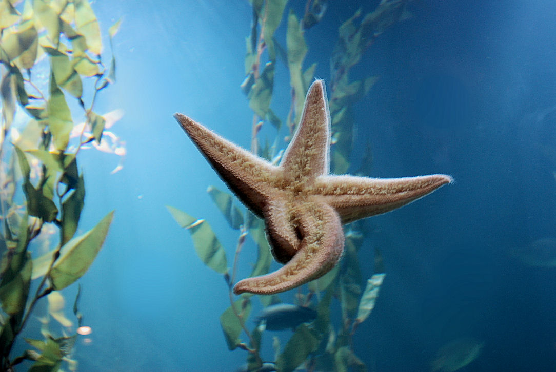 Foto de Valencia (València), España