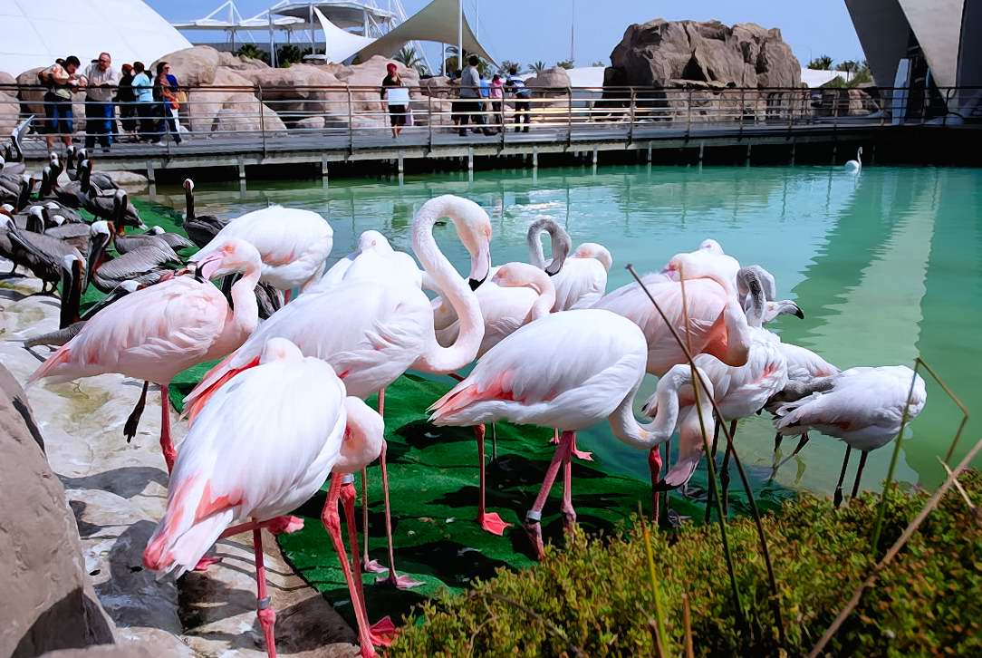 Foto de Valencia (València), España