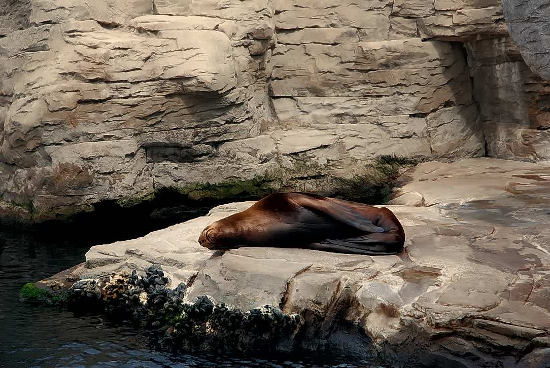 Foto de Valencia (València), España