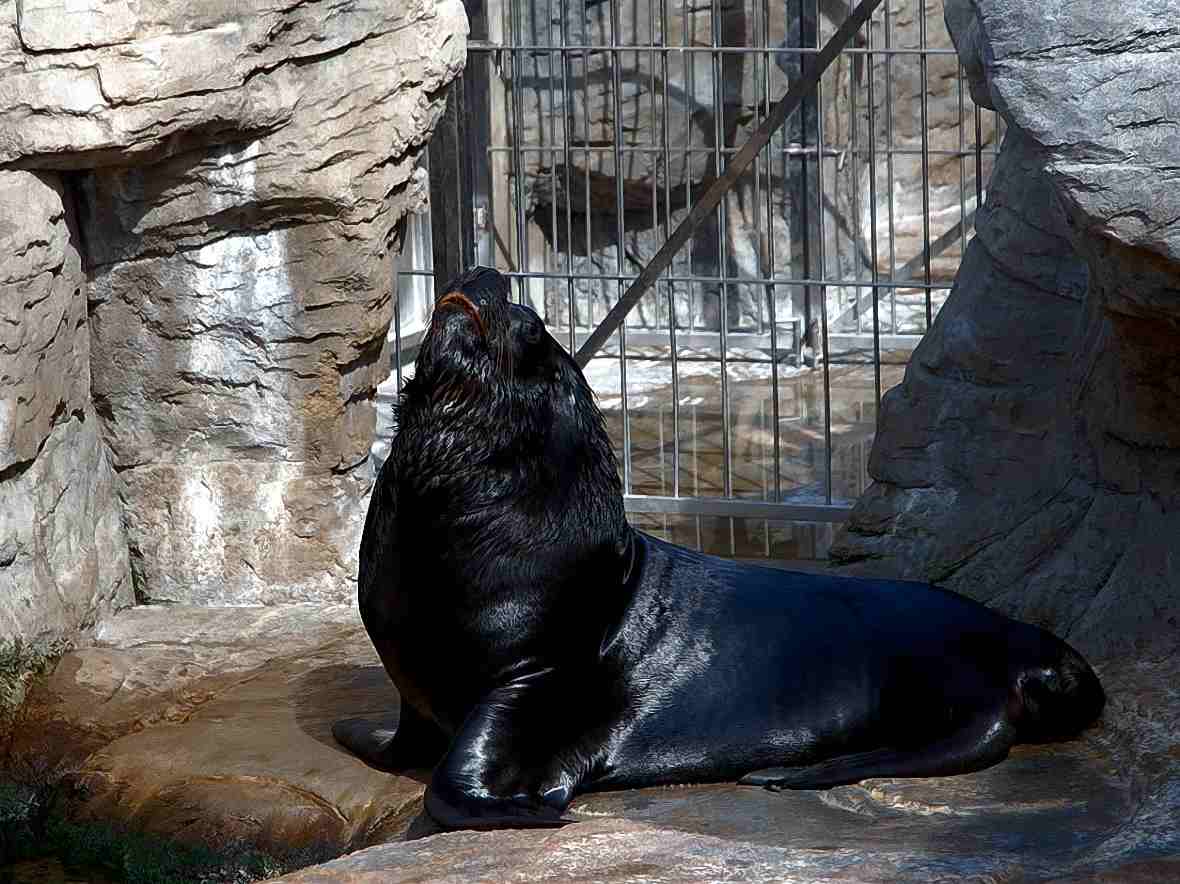 Foto de Valencia (València), España