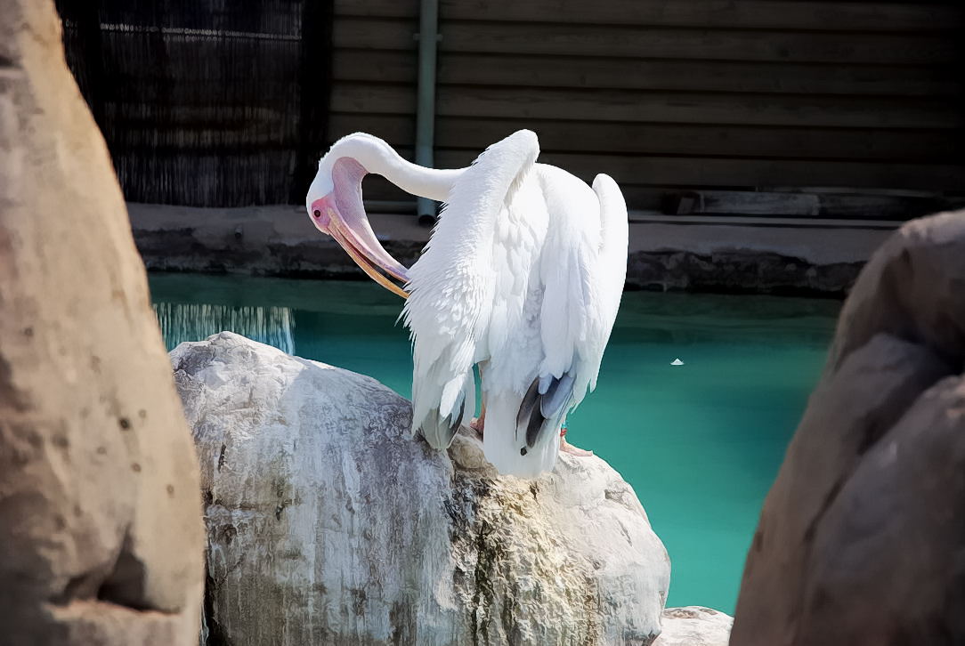 Foto de Valencia (València), España