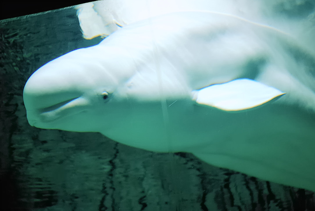 Foto de Valencia (València), España