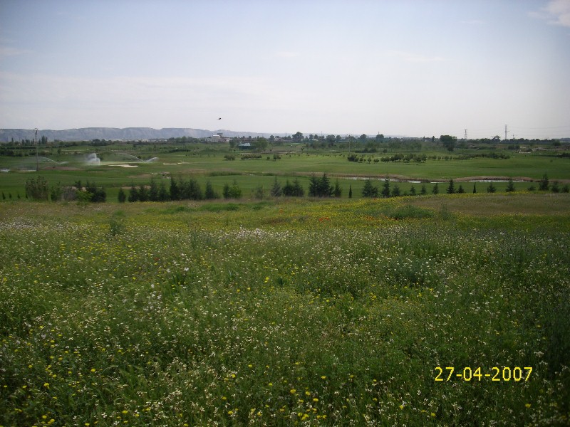 Foto de Pinseque (Zaragoza), España
