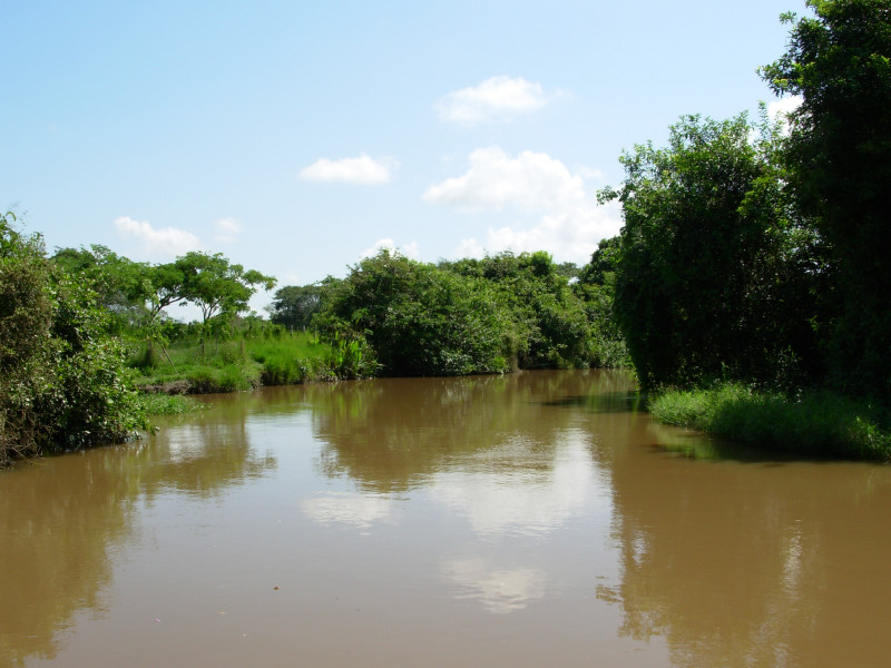 Foto de Apure, Venezuela
