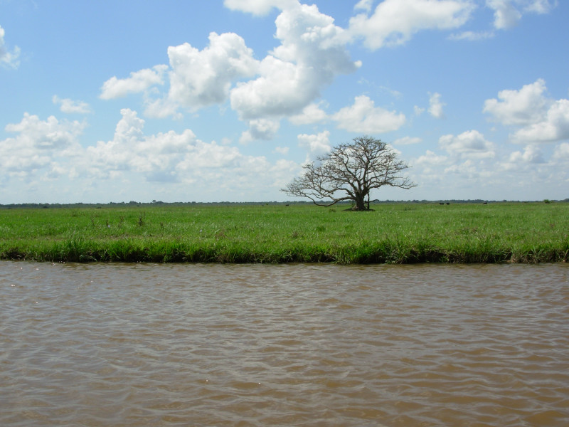 Foto de Apure, Venezuela