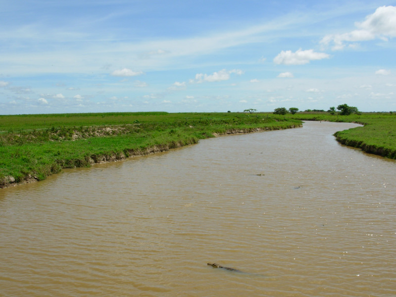 Foto de Apure, Venezuela