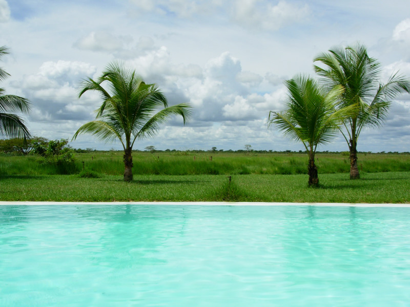 Foto de Apure, Venezuela