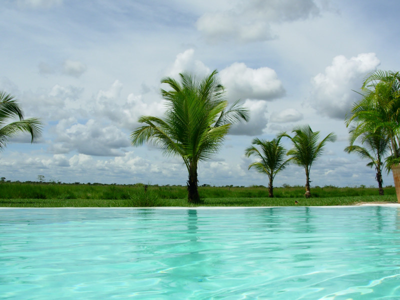 Foto de Apure, Venezuela