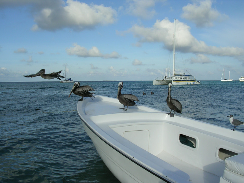 Foto de Los Roques, Venezuela