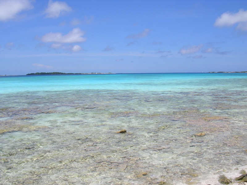 Foto de Los Roques, Venezuela