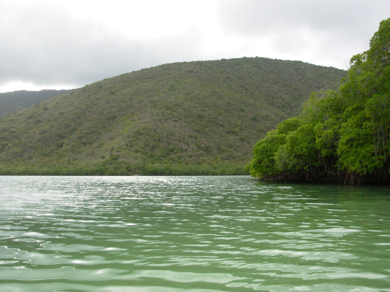 Foto de La Cienaga, Venezuela