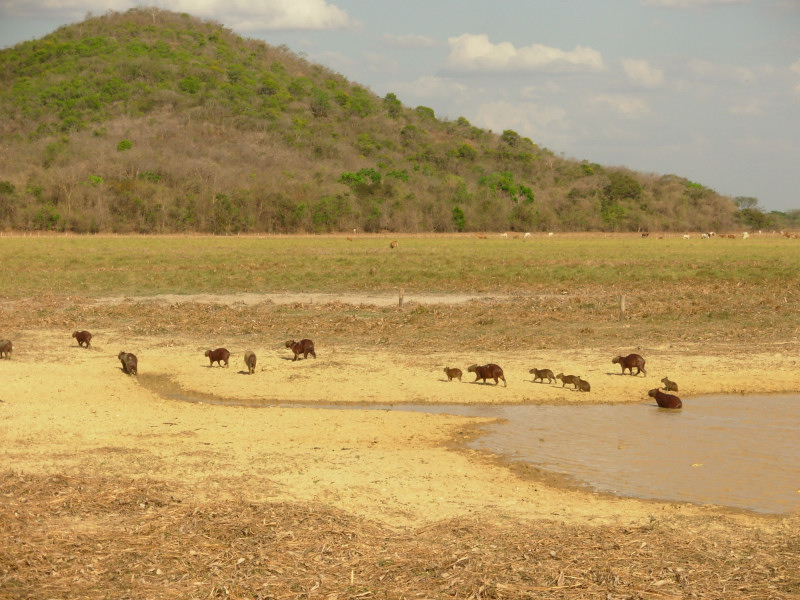 Foto de Cojedes, Venezuela