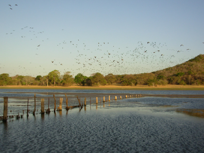 Foto de Cojedes, Venezuela