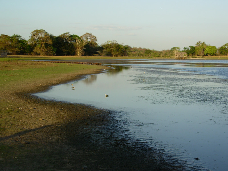 Foto de Cojedes, Venezuela