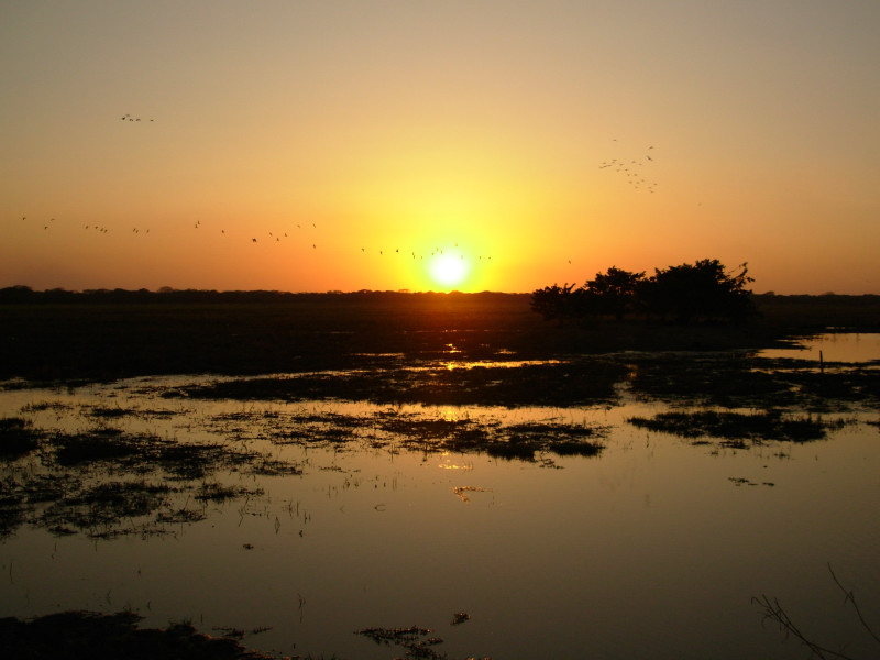 Foto de Cojedes, Venezuela