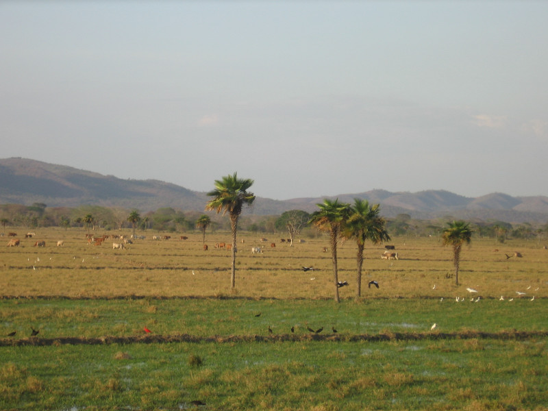 Foto de Cojedes, Venezuela