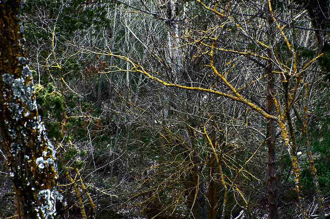 Foto de Sigüenza (Guadalajara), España