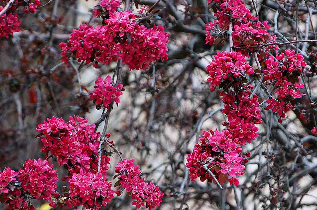 Foto de Sigüenza (Guadalajara), España