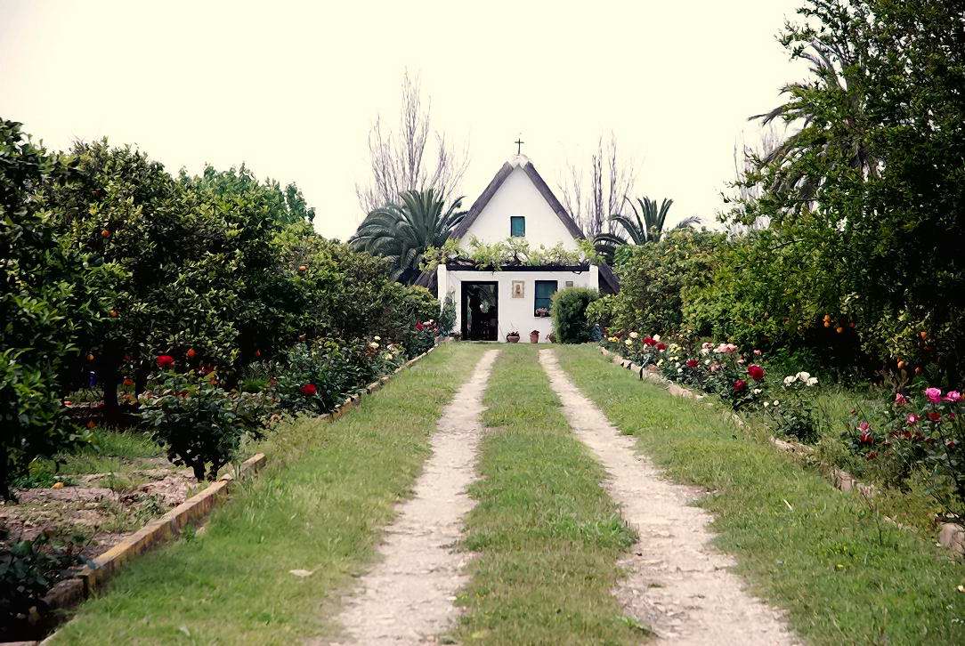Foto de El Palmar (València), España