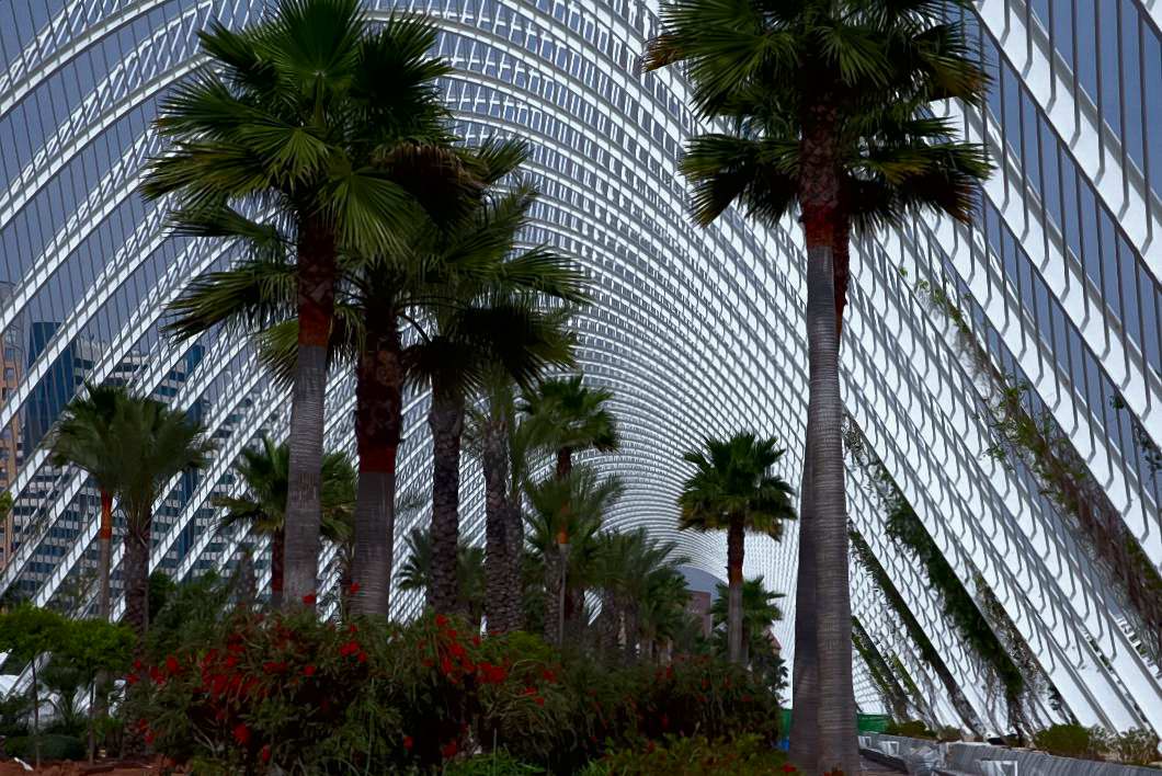 Foto de Valencia (València), España