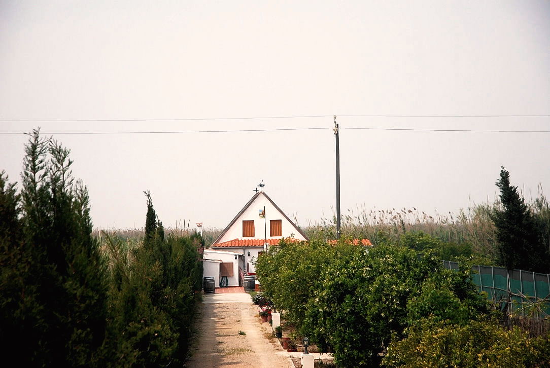 Foto de El Palmar (València), España