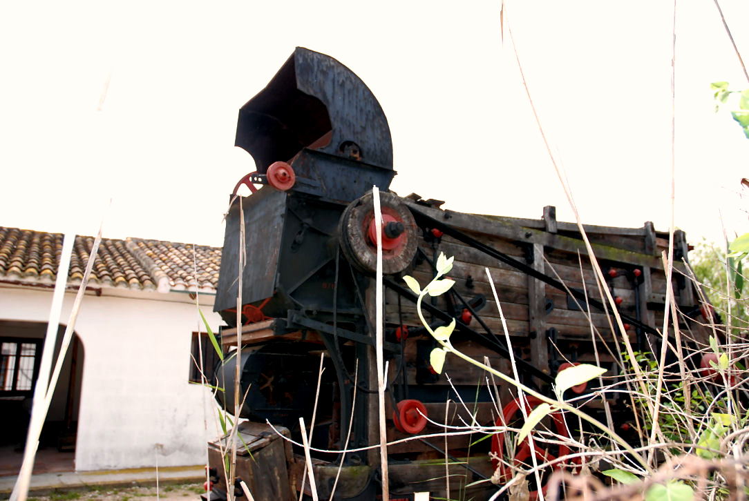 Foto de El Palmar (València), España