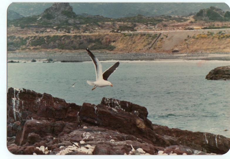 Foto de Los Vilos, Chile