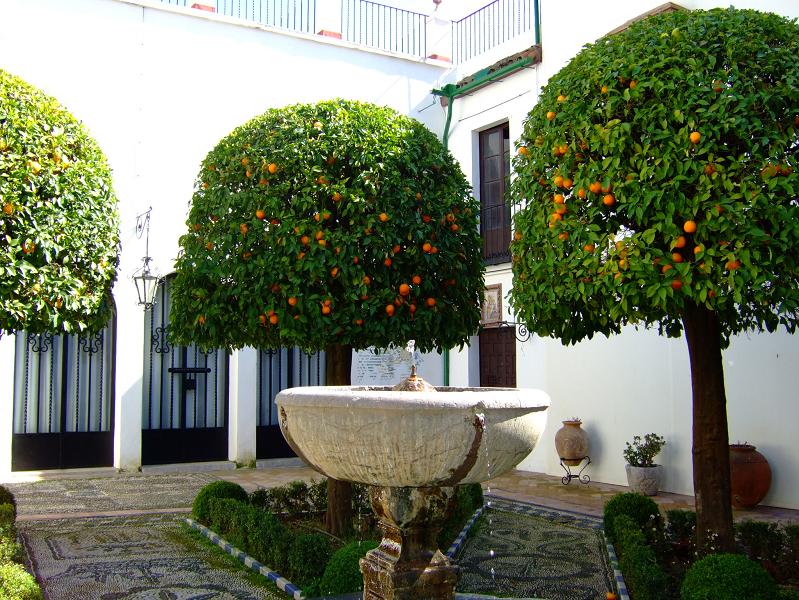 Foto de Córdoba (Andalucía), España