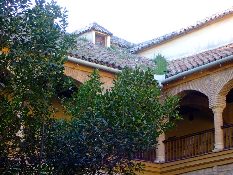 Foto de Córdoba (Andalucía), España