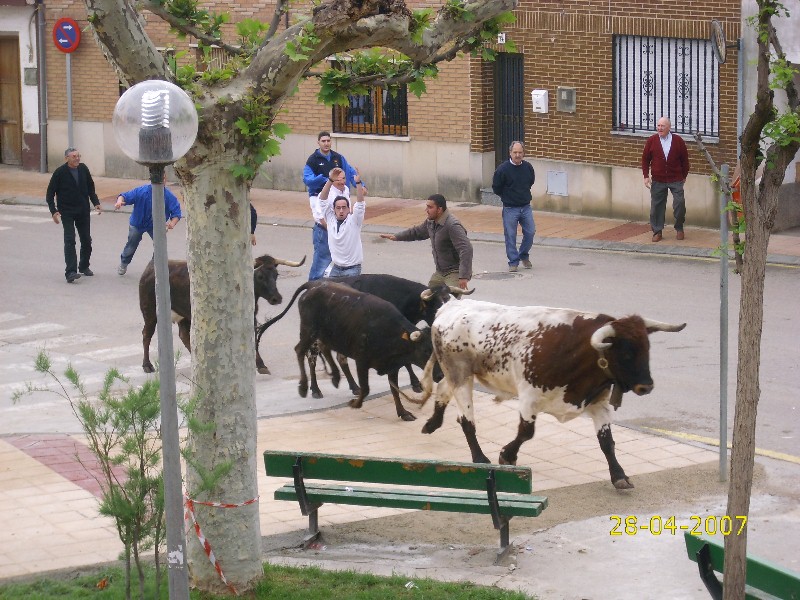 Foto de Pinseque (Zaragoza), España