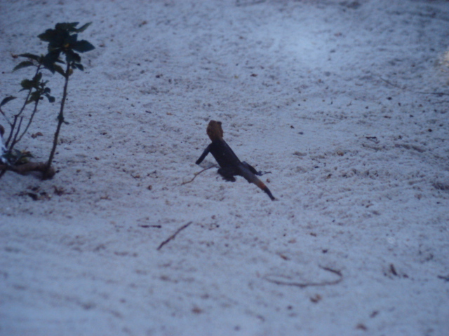 Foto de Libreville, Gabón