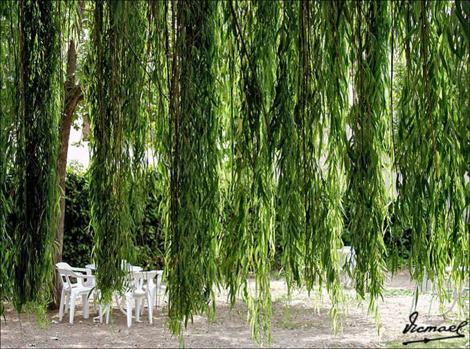 Foto de Ariza (Zaragoza), España