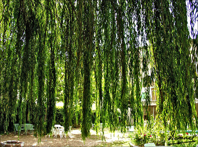 Foto de Ariza (Zaragoza), España