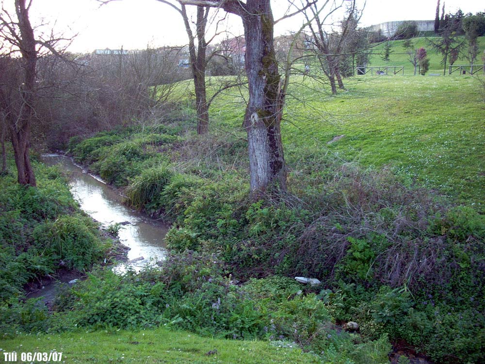 Foto de Oviedo (Asturias), España