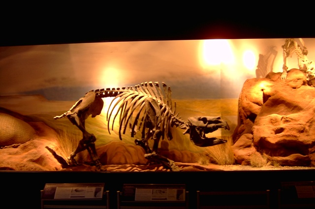 Foto de Trelew (Chubut), Argentina