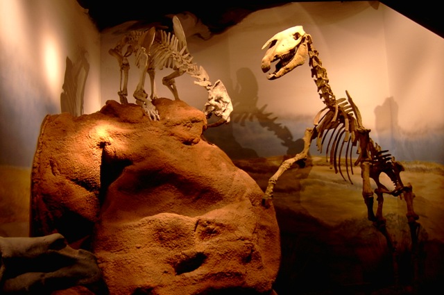 Foto de Trelew (Chubut), Argentina