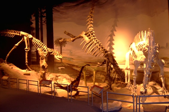 Foto de Trelew (Chubut), Argentina