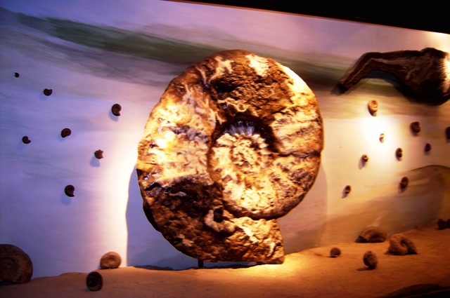 Foto de Trelew (Chubut), Argentina