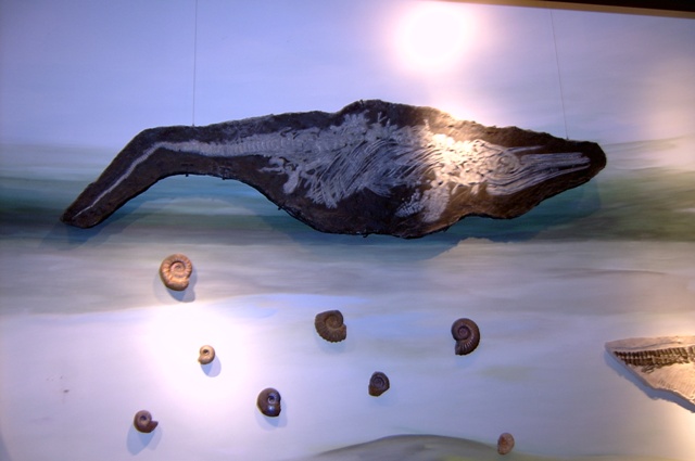 Foto de Trelew (Chubut), Argentina