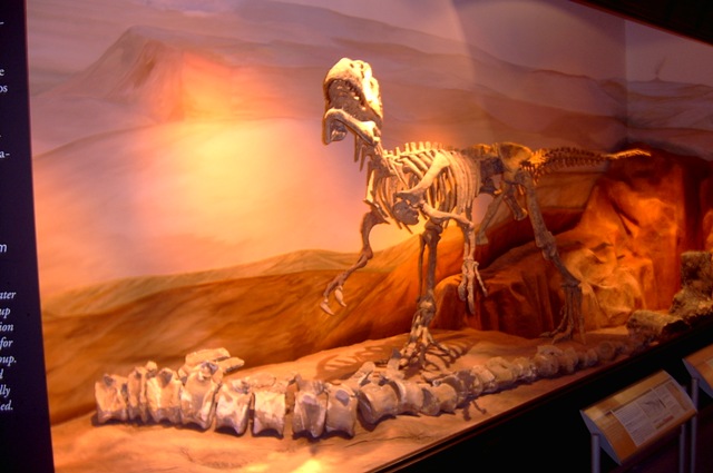 Foto de Trelew (Chubut), Argentina